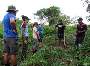 Tree planting activity in Borneo