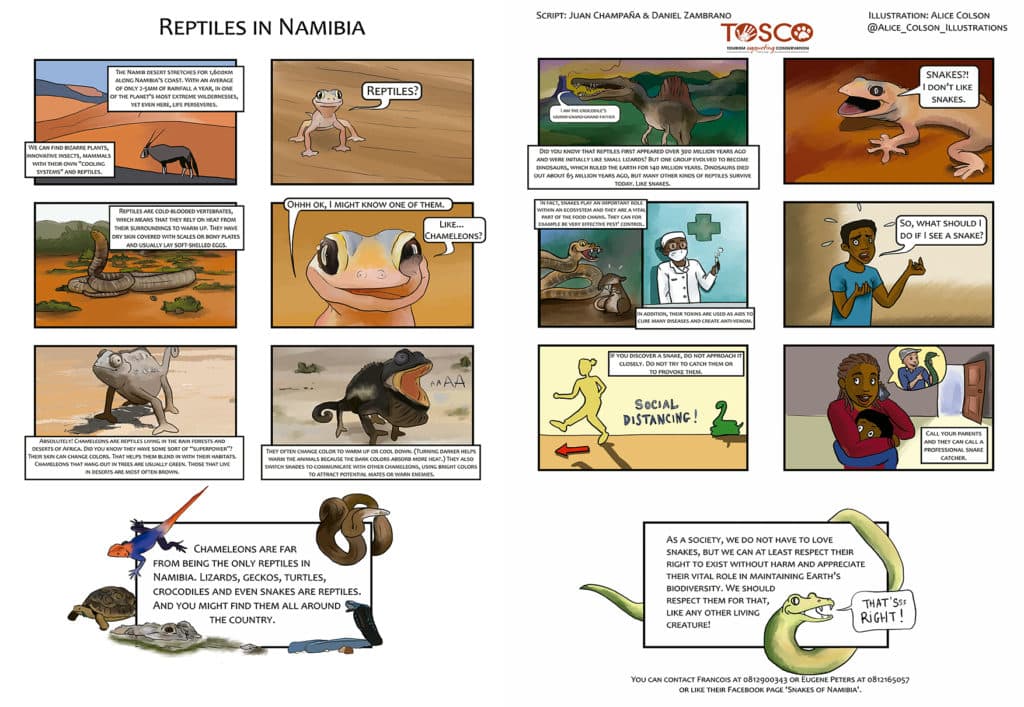 This comic describes the importance of reptiles in Namibia – including dangerous snakes, which readers can safely coexist with by following simple precautions.