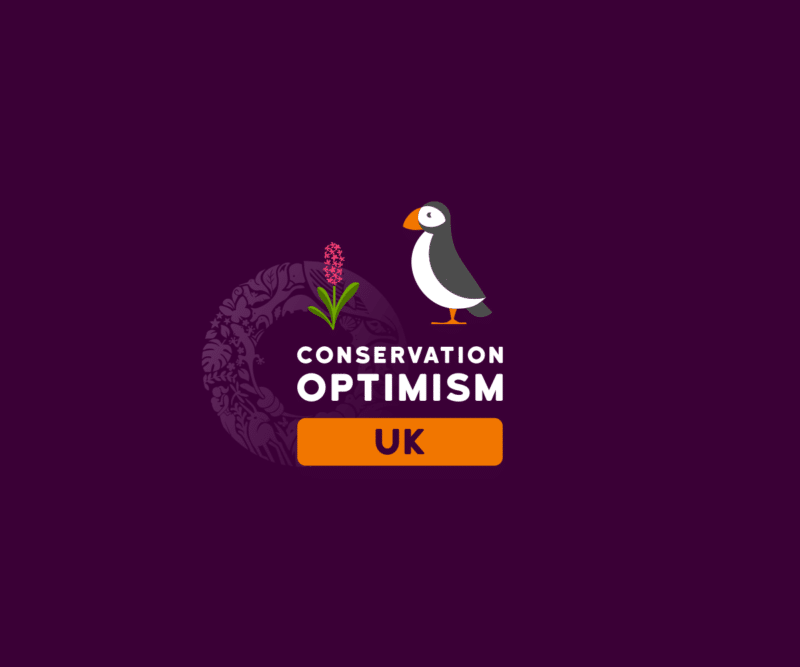 UK Hub - Conservation Optimism