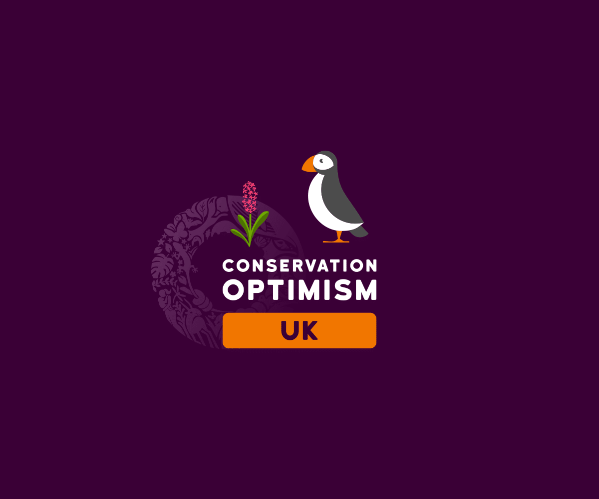 Conservation Optimism UK Hub logo with an illustrated puffin and early purple orchid