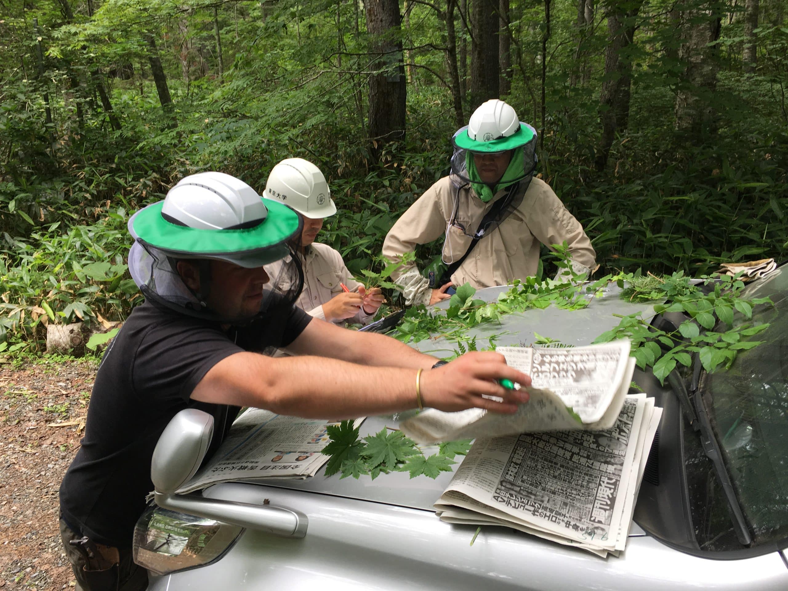 Three people in protective gear examine plant samples on the hood of a car