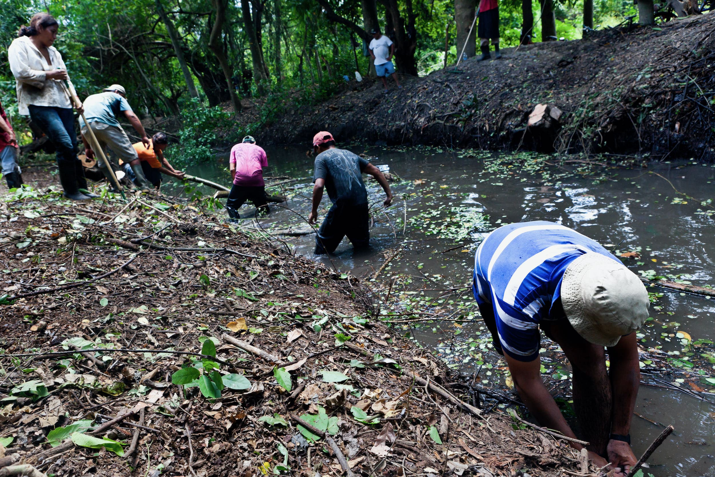 Restoring mangroves through community channel digging in El Salvado