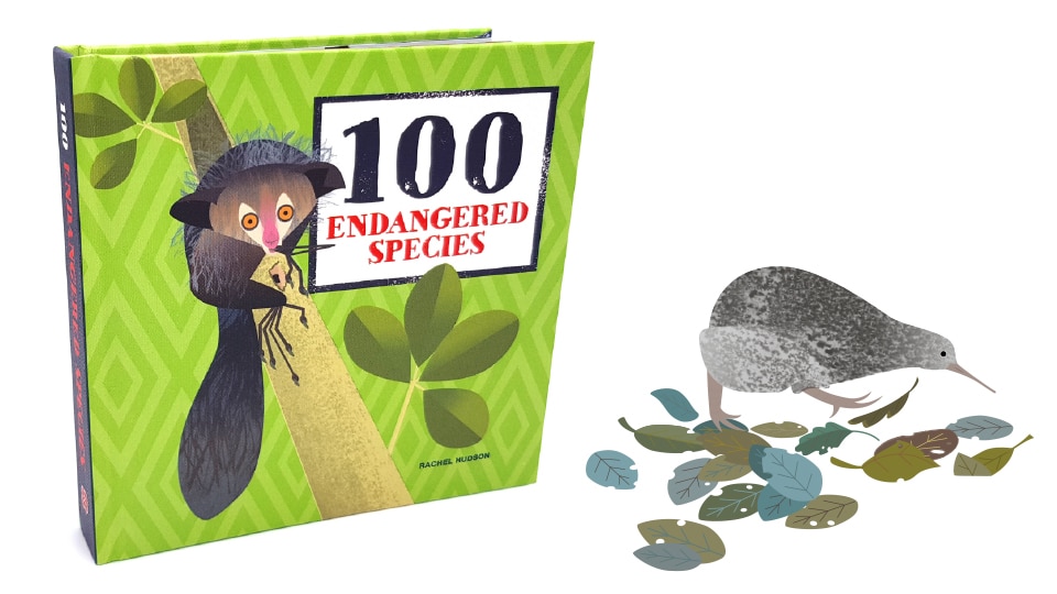 Book cover for '100 endangered species' and an illustration of the little spotted kiwi bird by Rachel Hudson 