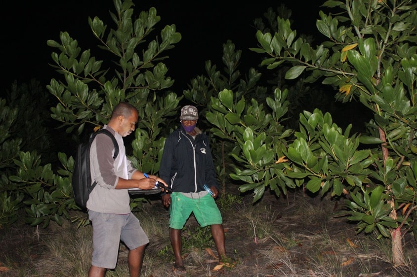 Two people take notes during a nighttime field survey, surrounded by leafy trees.