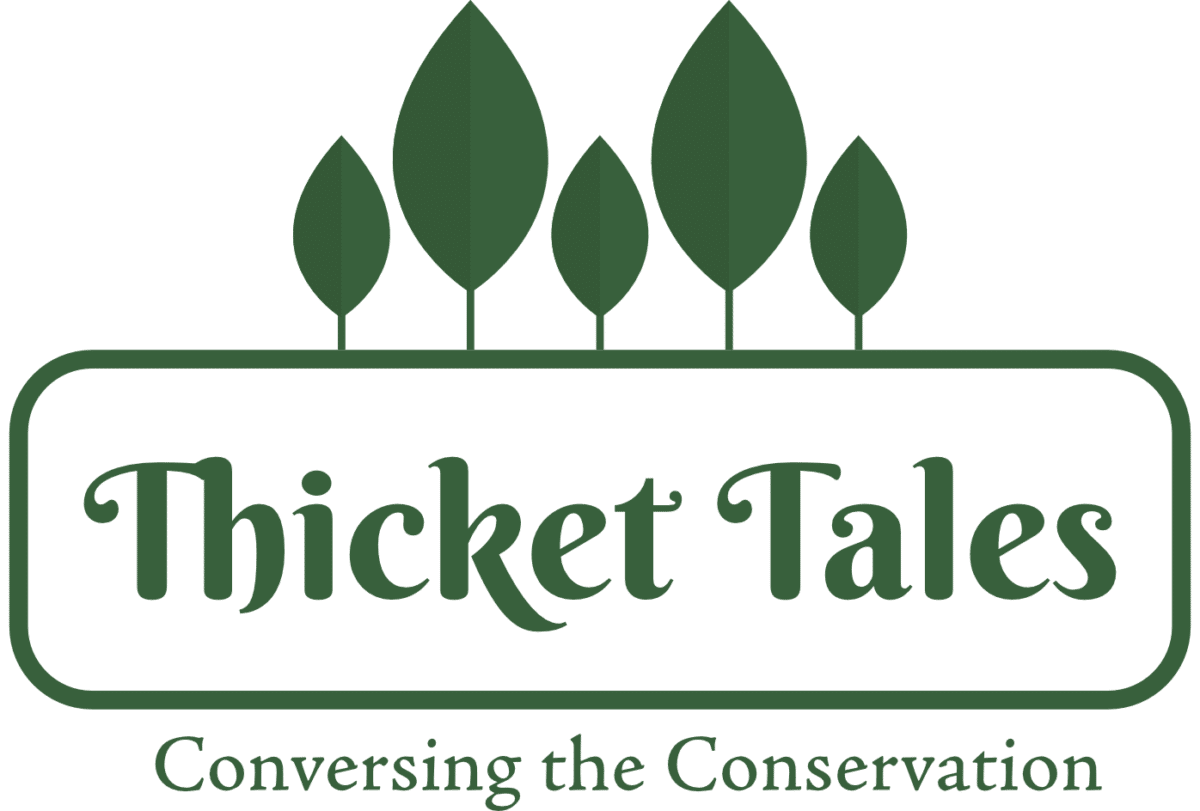 thicket-tales-conservation-optimism