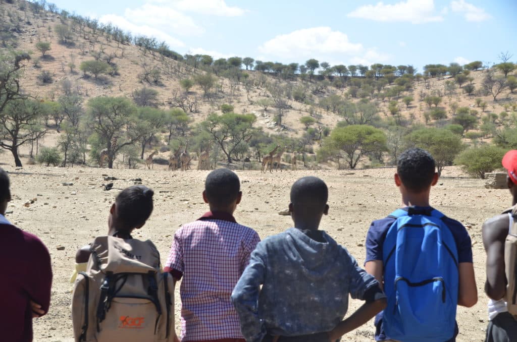 Students observe a giraffe in the Daan Viljoen Game Reserve as a part of the KEEP nature education programme (Image Credits: Giraffe Conservation Foundation).