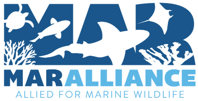 MarAlliance - Conservation Optimism