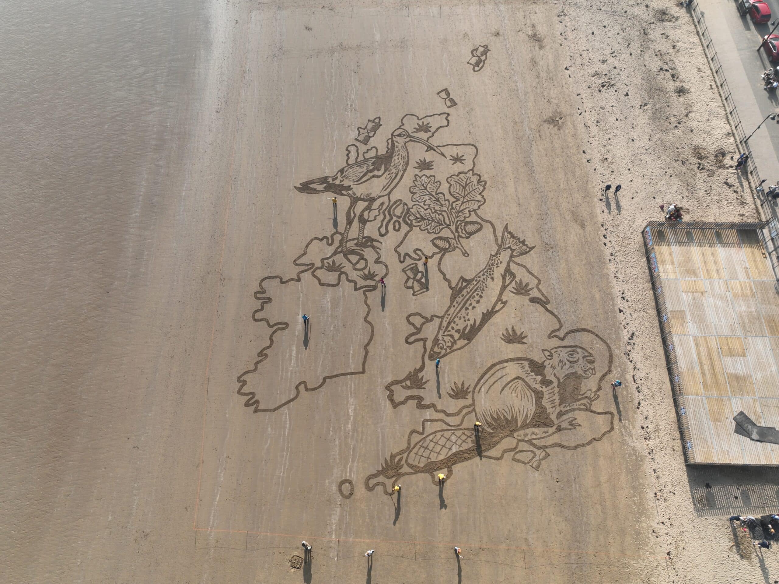 An overhead view of a massive sand artwork depicting the outline of the United Kingdom with an Eurasian beaver, Atlantic salmon, Eurasian curlew and Oak tree across it.