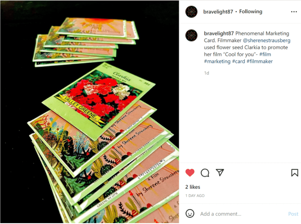 An array of colorful seed packets accompanies an Instagram post, where the user describes Sherene's strategy as a "phenomenal marketing card."