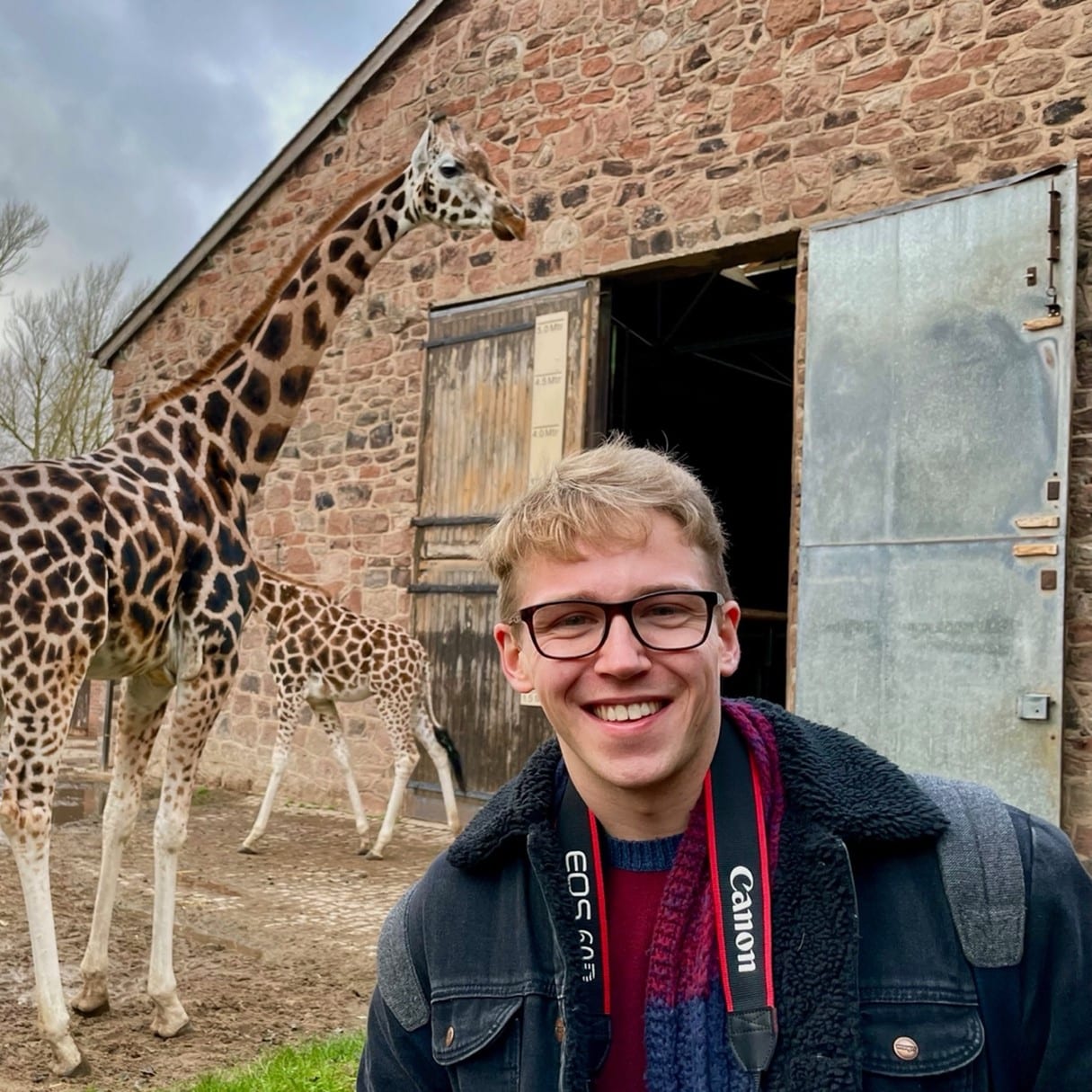 An image of Jack standing in front of two giraffes