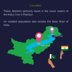 Map showing where the Indus river dolphin lives in Pakistan and India