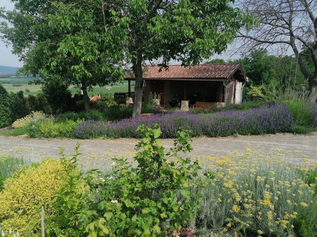 Landscape image of the farm. An ecological farm and home to diverse pollinators.