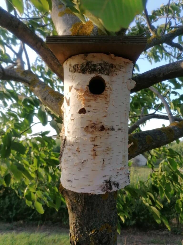 A photo of a bird nest box from outside. 