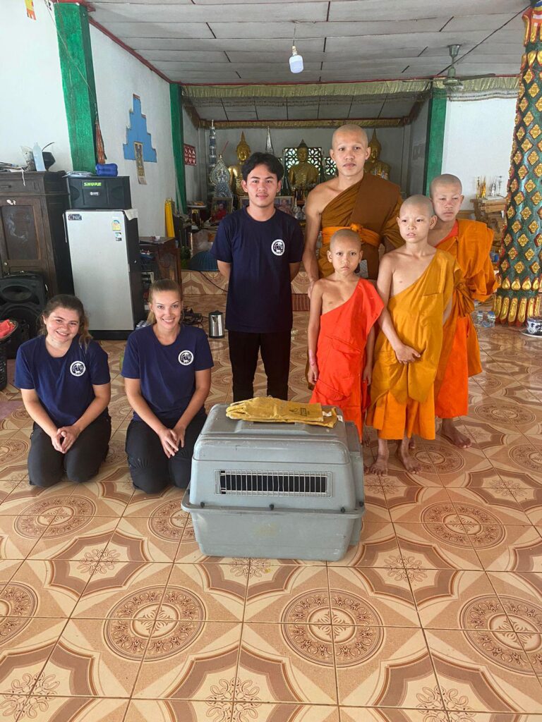 LCTW volunteers and monks with rescue animals